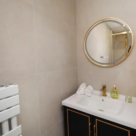 Le Lynx Haussmanien Confort, Climatise Avec Parking Prive, A Deux Pas Du Centre Apartment Colmar