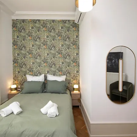 公寓 Le Lynx Haussmanien Confort, Climatise Avec Parking Prive, A Deux Pas Du Centre 科尔马