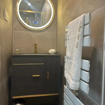 Le Lynx Haussmanien Confort, Climatise Avec Parking Prive, A Deux Pas Du Centre *