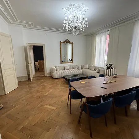Le Lynx Haussmanien Confort, Climatise Avec Parking Prive, A Deux Pas Du Centre Apartment Colmar