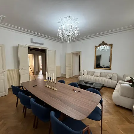 公寓 Le Lynx Haussmanien Confort, Climatise Avec Parking Prive, A Deux Pas Du Centre 科尔马