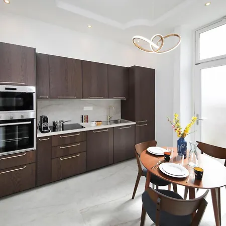 公寓 Le Lynx Haussmanien Confort, Climatise Avec Parking Prive, A Deux Pas Du Centre