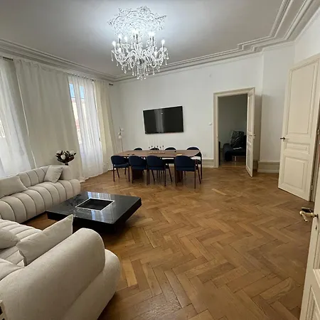 Le Lynx Haussmanien Confort, Climatise Avec Parking Prive, A Deux Pas Du Centre * 科尔马